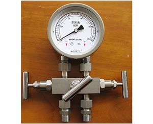 山西差压表带三阀组